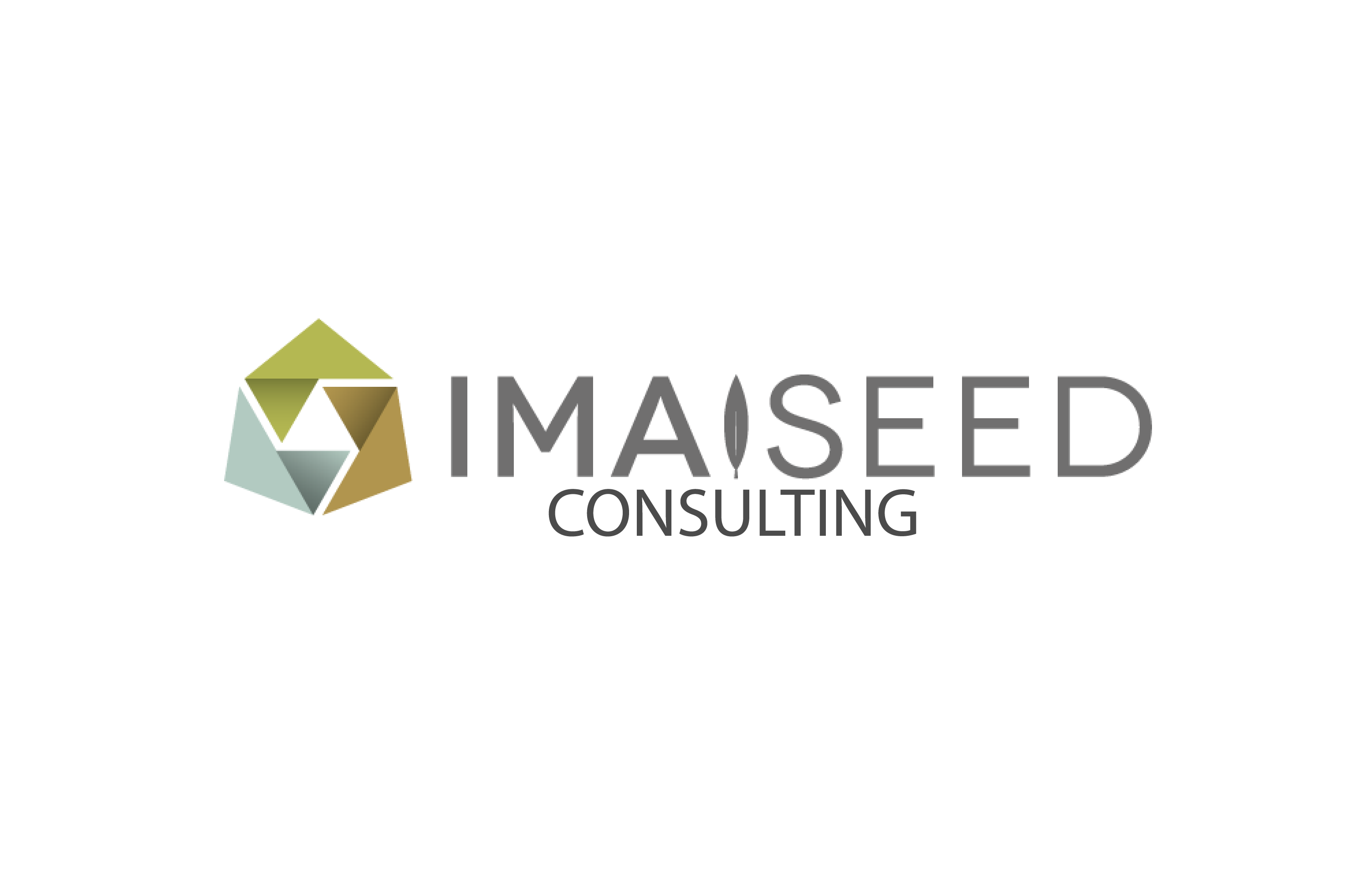 IMAISEED